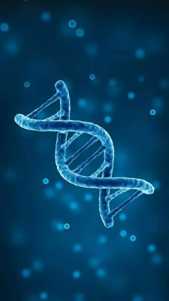 Molecular Testing- Inherited Diseases - CMDL